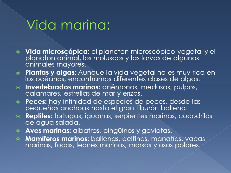 Vida marina: Vida microscópica: el plancton microscópico vegetal y el plancton animal, los moluscos y las larvas de algunos animales mayores.