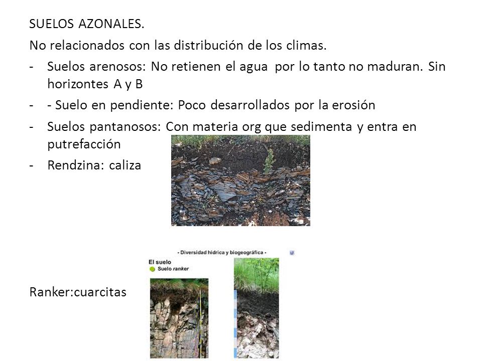 SUELOS AZONALES. No relacionados con las distribución de los climas.