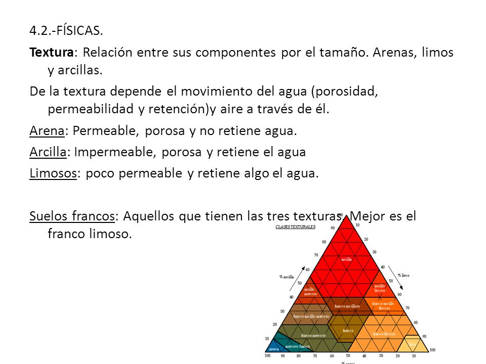 FÍSICAS. Textura: Relación entre sus componentes por el tamaño