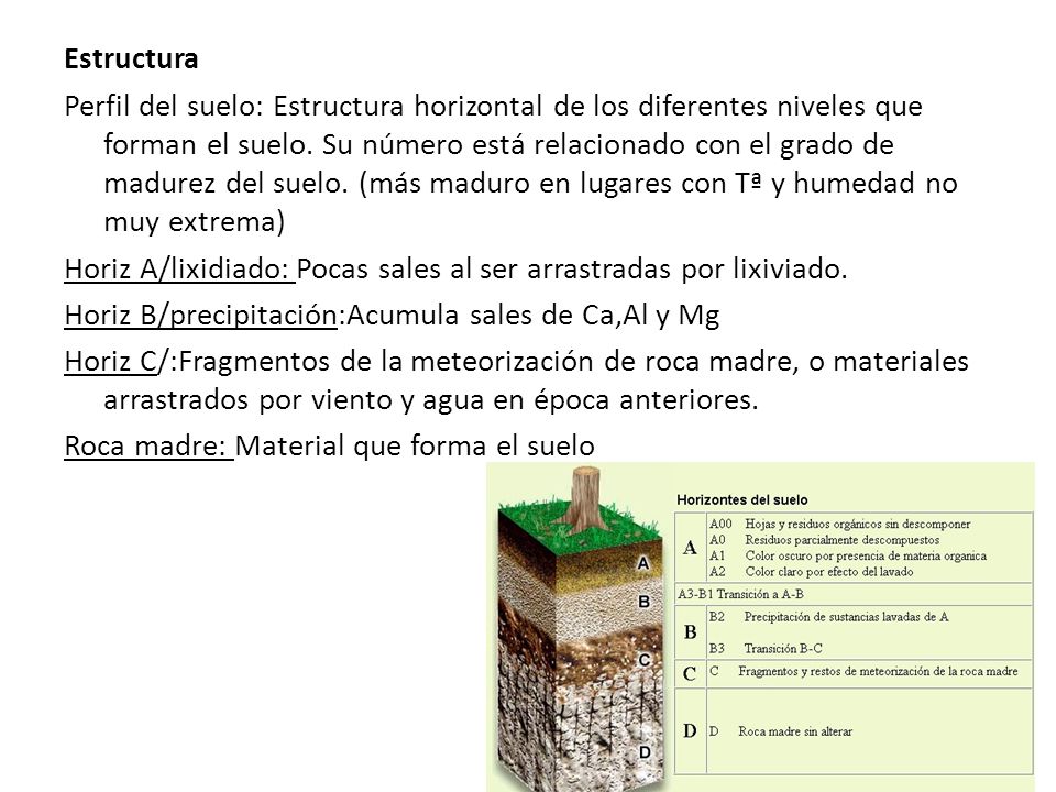 Estructura Perfil del suelo: Estructura horizontal de los diferentes niveles que forman el suelo.