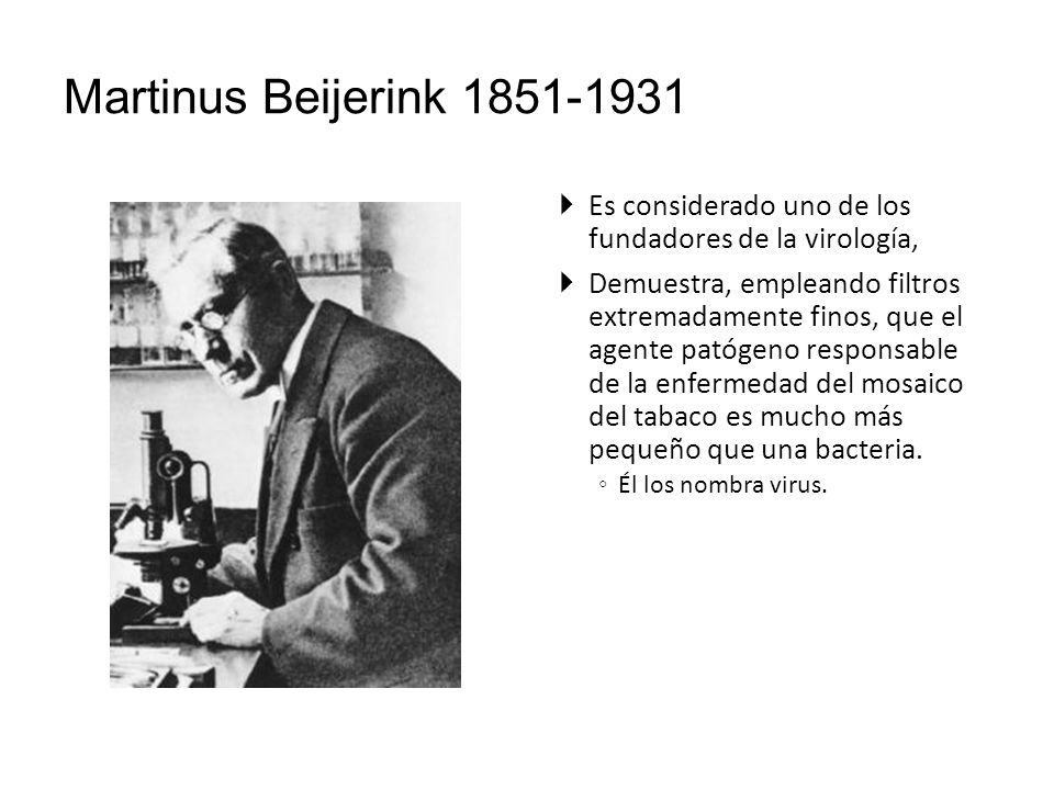 Martinus Beijerink Es considerado uno de los fundadores de la virología,