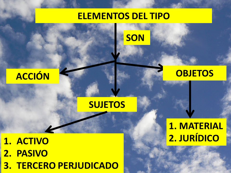 ELEMENTOS DEL TIPO SON. OBJETOS. ACCIÓN. SUJETOS.
