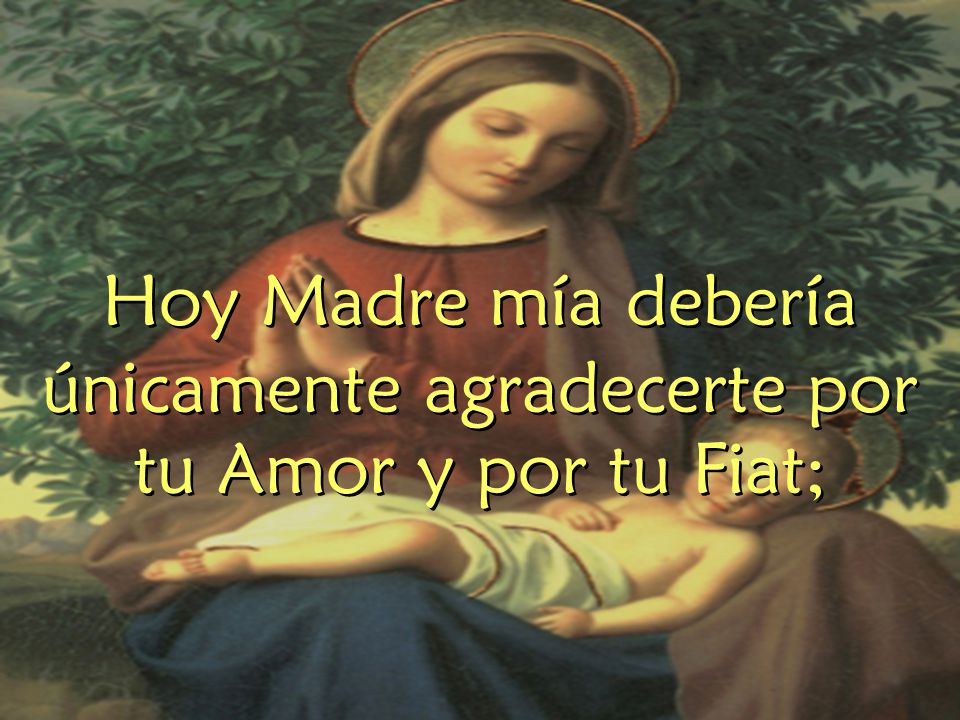 Hoy Madre mía debería únicamente agradecerte por tu Amor y por tu Fiat;