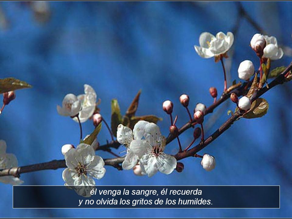 él venga la sangre, él recuerda y no olvida los gritos de los humildes.