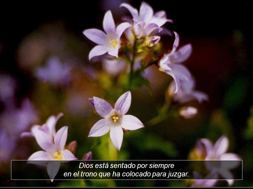 Dios está sentado por siempre en el trono que ha colocado para juzgar.