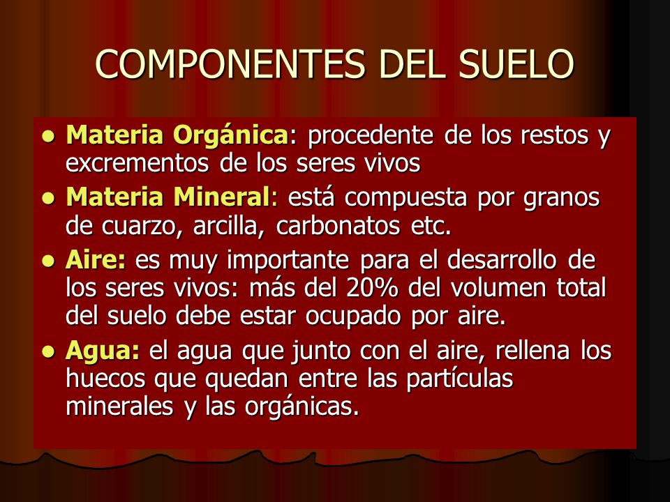 COMPONENTES DEL SUELO Materia Orgánica: procedente de los restos y excrementos de los seres vivos.