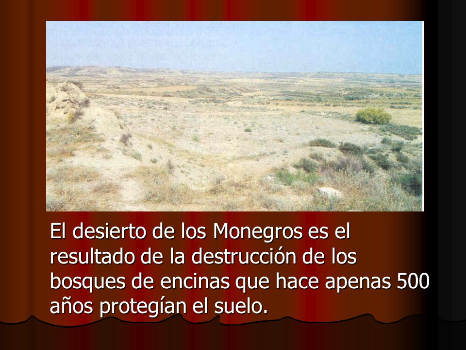 El desierto de los Monegros es el resultado de la destrucción de los bosques de encinas que hace apenas 500 años protegían el suelo.