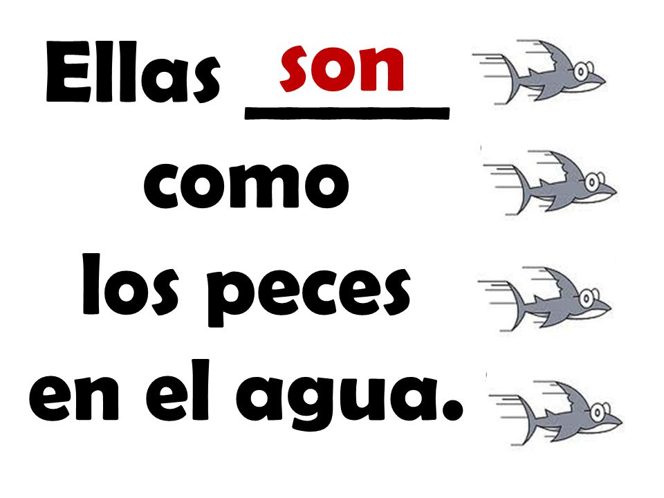 son Ellas _____ como los peces en el agua.