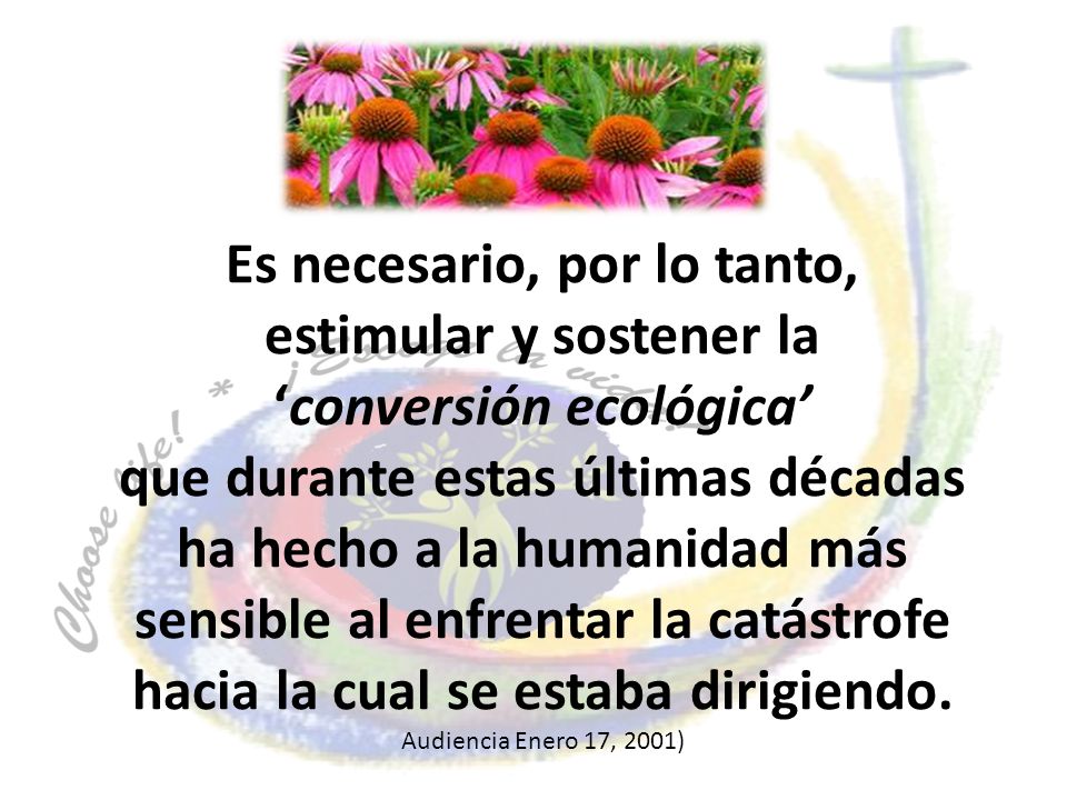 Es necesario, por lo tanto, estimular y sostener la ‘conversión ecológica’ que durante estas últimas décadas ha hecho a la humanidad más sensible al enfrentar la catástrofe hacia la cual se estaba dirigiendo.