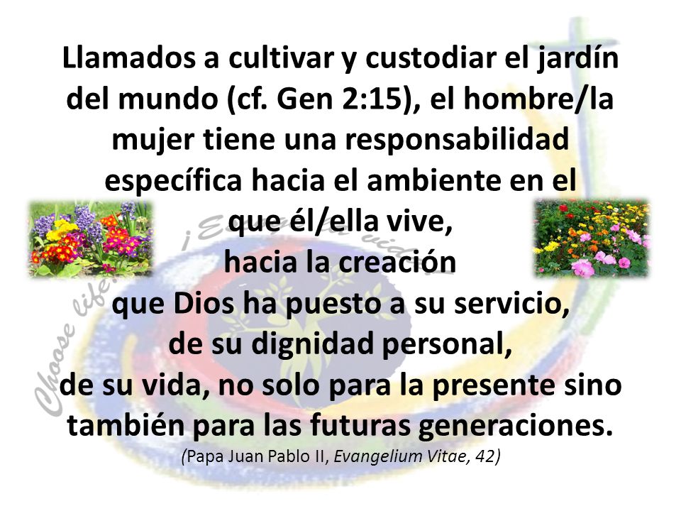 Llamados a cultivar y custodiar el jardín del mundo (cf