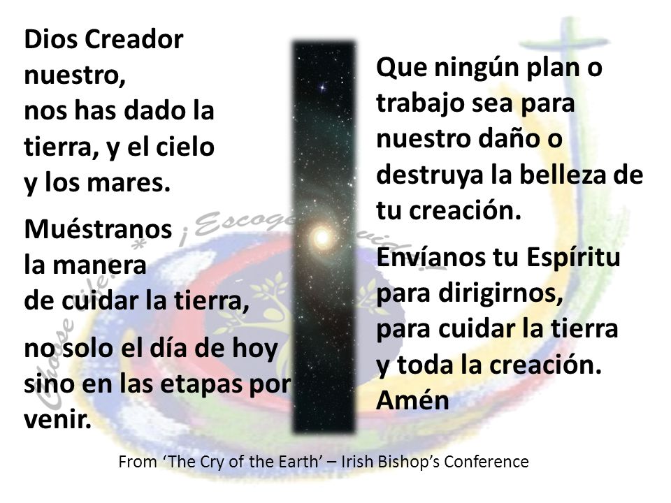From ‘The Cry of the Earth’ – Irish Bishop’s Conference