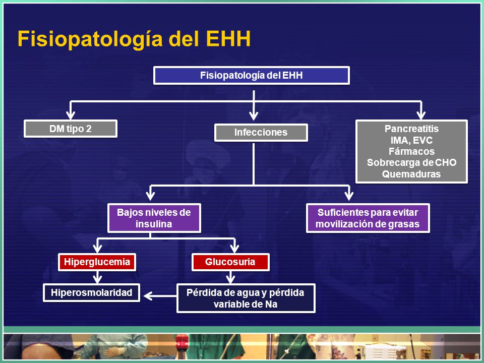 Fisiopatología del EHH