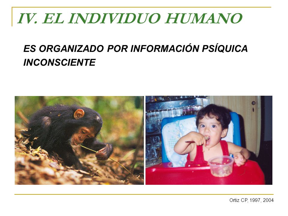 IV. EL INDIVIDUO HUMANO ES ORGANIZADO POR INFORMACIÓN PSÍQUICA INCONSCIENTE Ortiz CP, 1997, 2004
