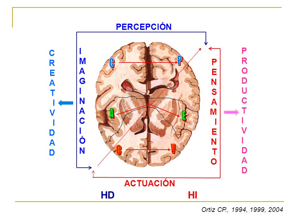 HD HI PERCEPCIÓN I P C M R R A O P EA G D E U N T N C S I T A V C I M