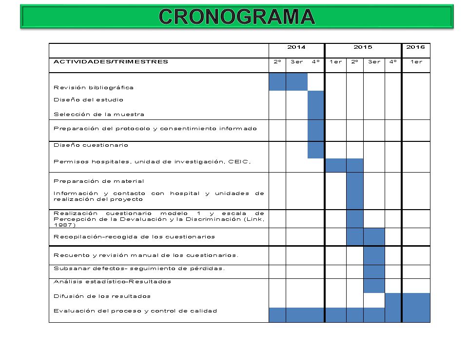 CRONOGRAMA