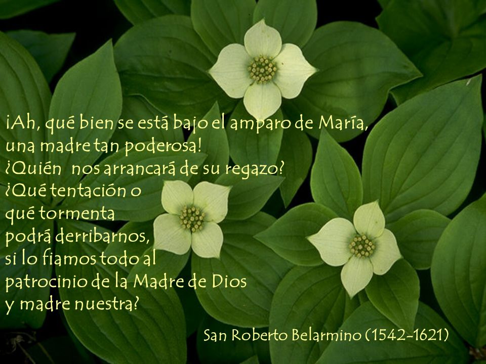 ¡Ah, qué bien se está bajo el amparo de María, una madre tan poderosa!
