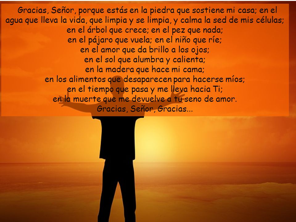 Gracias, Señor, porque estás en la piedra que sostiene mi casa; en el agua que lleva la vida, que limpia y se limpia, y calma la sed de mis células; en el árbol que crece; en el pez que nada; en el pájaro que vuela; en el niño que ríe; en el amor que da brillo a los ojos; en el sol que alumbra y calienta; en la madera que hace mi cama; en los alimentos que desaparecen para hacerse míos; en el tiempo que pasa y me lleva hacia Ti; en la muerte que me devuelve a tu seno de amor.