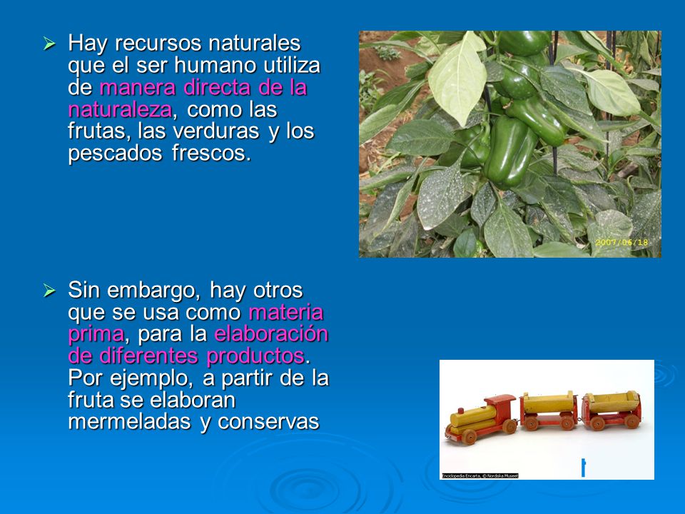 Hay recursos naturales que el ser humano utiliza de manera directa de la naturaleza, como las frutas, las verduras y los pescados frescos.