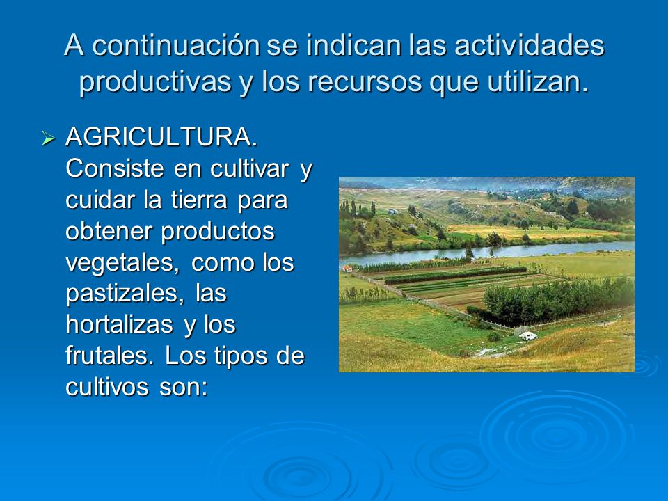 A continuación se indican las actividades productivas y los recursos que utilizan.