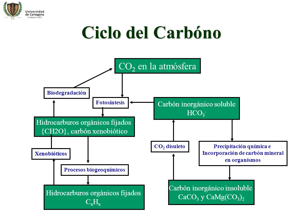 Precipitación química e Incorporación de carbón mineral
