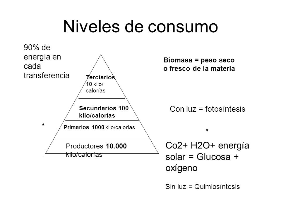 Niveles de consumo Co2+ H2O+ energía solar = Glucosa + oxígeno