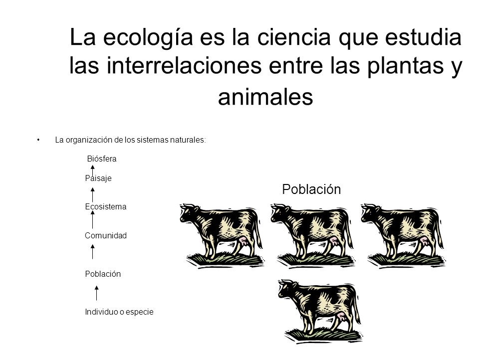 La ecología es la ciencia que estudia las interrelaciones entre las plantas y animales