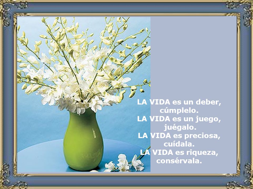 LA VIDA es un deber, cúmplelo. LA VIDA es un juego, juégalo. LA VIDA es preciosa, cuídala. LA VIDA es riqueza,