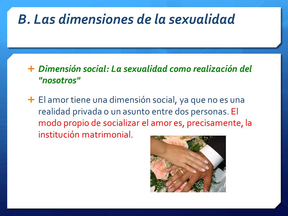 B. Las dimensiones de la sexualidad