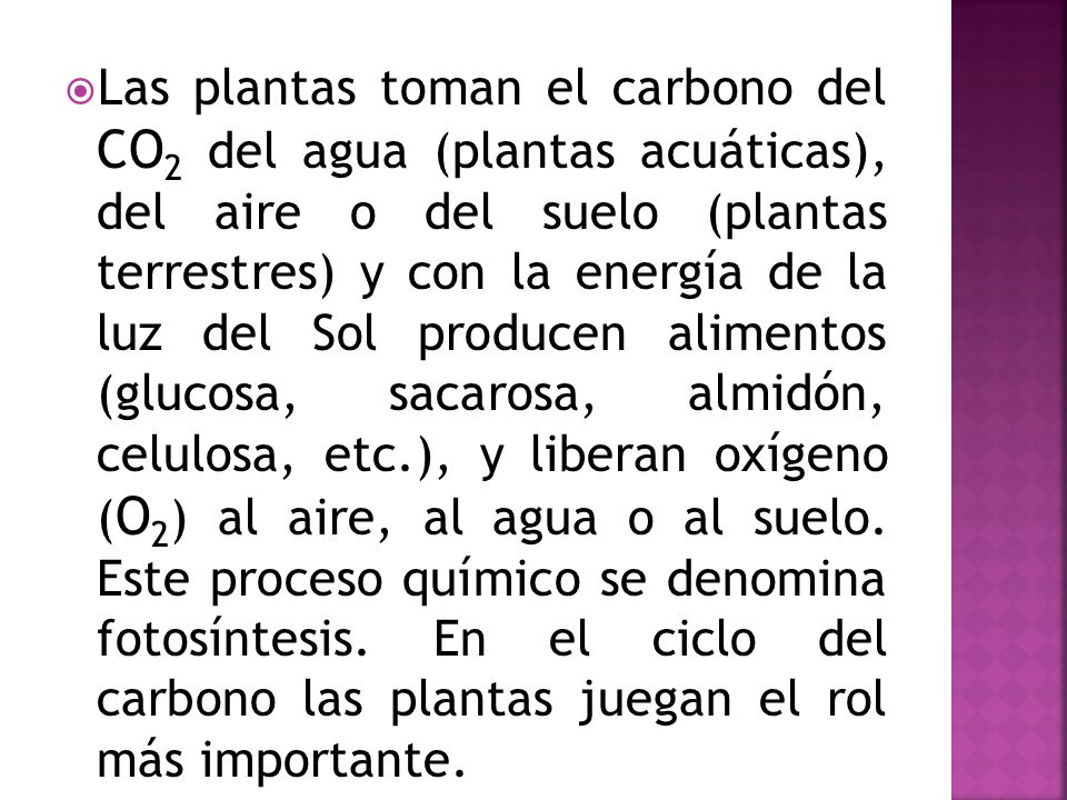 Las plantas toman el carbono del CO2 del agua (plantas acuáticas), del aire o del suelo (plantas terrestres) y con la energía de la luz del Sol producen alimentos (glucosa, sacarosa, almidón, celulosa, etc.), y liberan oxígeno (O2) al aire, al agua o al suelo.