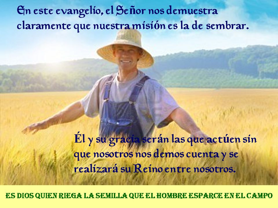 Es Dios quien riega la semilla que el hombre esparce en el campo