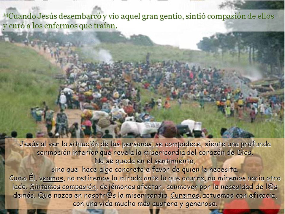 14Cuando Jesús desembarcó y vio aquel gran gentío, sintió compasión de ellos y curó a los enfermos que traían.