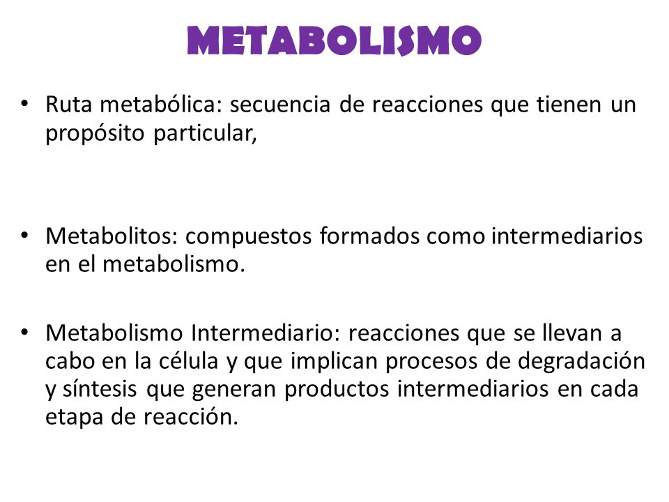 METABOLISMO Ruta metabólica: secuencia de reacciones que tienen un propósito particular,