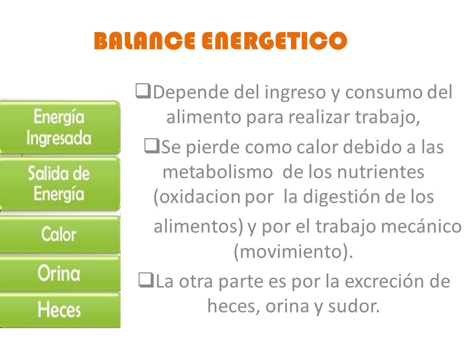 BALANCE ENERGETICO Depende del ingreso y consumo del alimento para realizar trabajo,