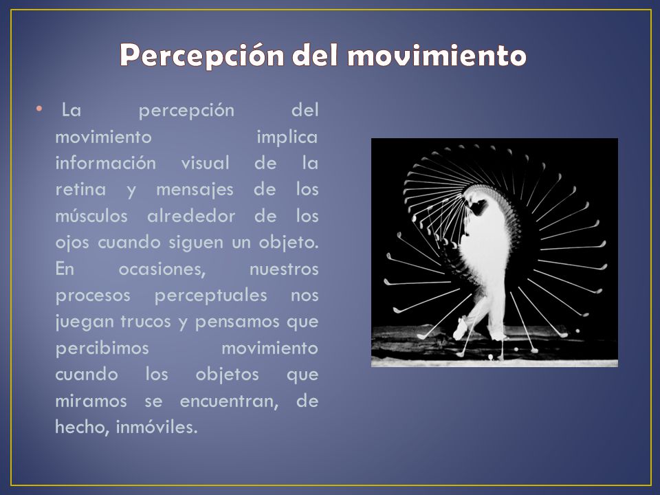 Percepción del movimiento