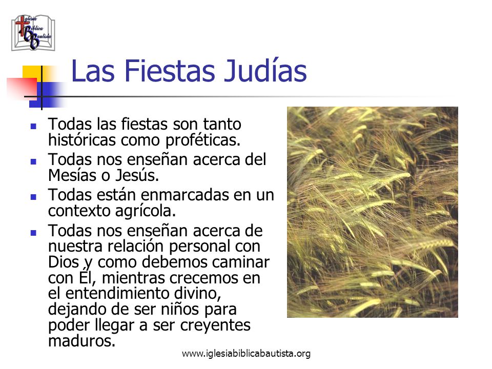 Las Fiestas Judías Todas las fiestas son tanto históricas como proféticas. Todas nos enseñan acerca del Mesías o Jesús.