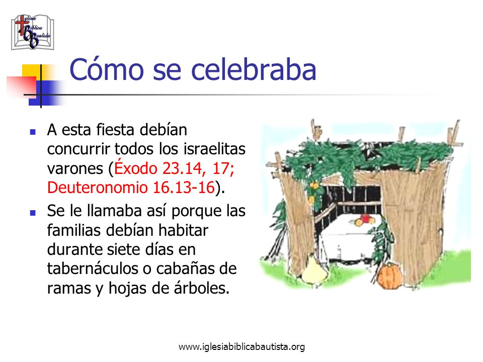 Cómo se celebraba A esta fiesta debían concurrir todos los israelitas varones (Éxodo 23.14, 17; Deuteronomio ).