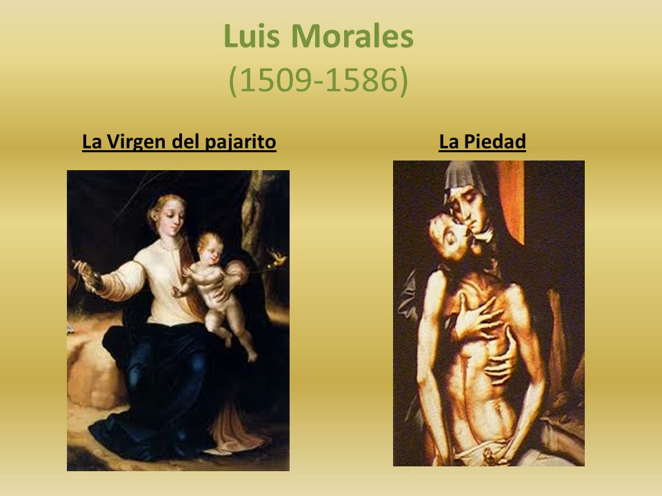 Luis Morales ( ) La Virgen del pajarito La Piedad