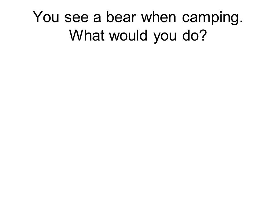 You see a bear when camping. What would you do