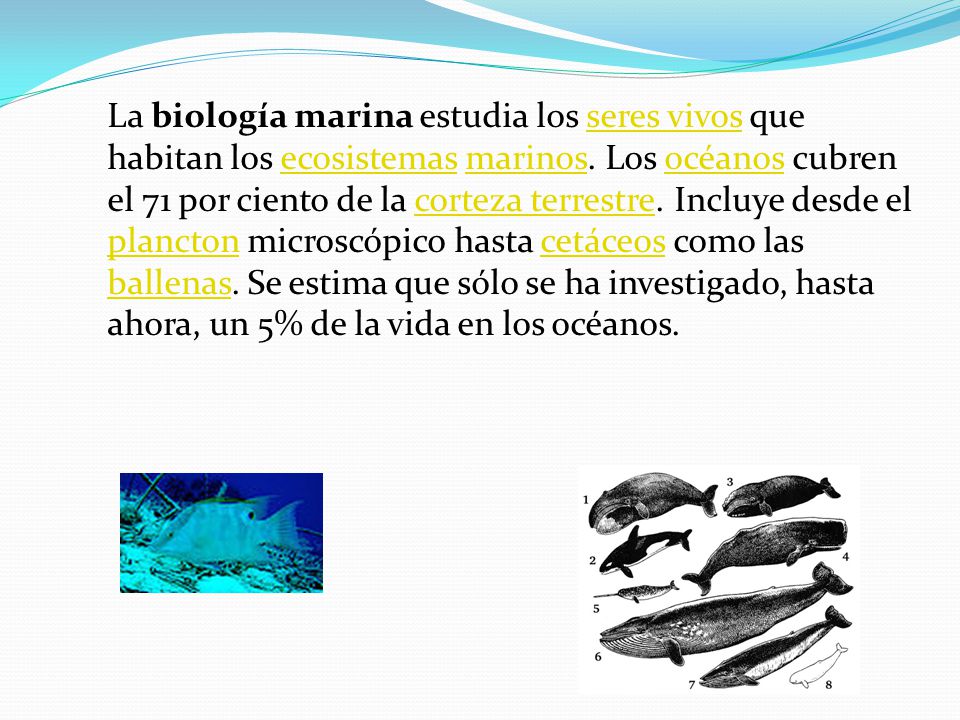 La biología marina estudia los seres vivos que habitan los ecosistemas marinos.