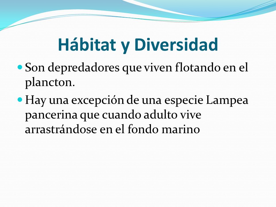 Hábitat y Diversidad Son depredadores que viven flotando en el plancton.