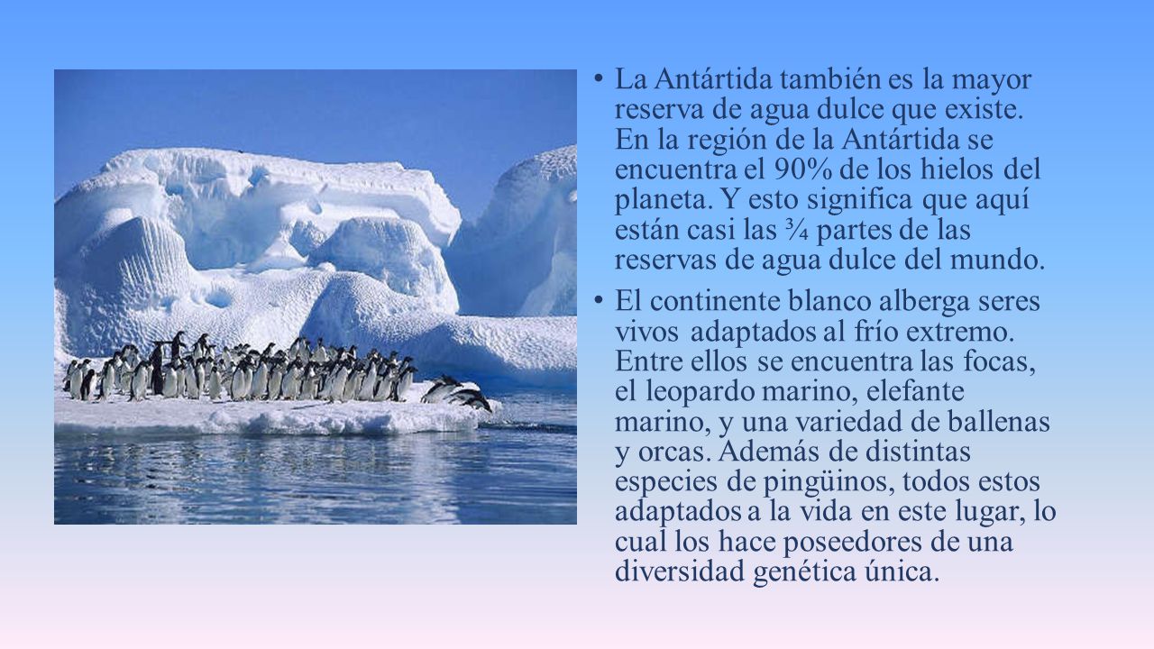 La Antártida también es la mayor reserva de agua dulce que existe