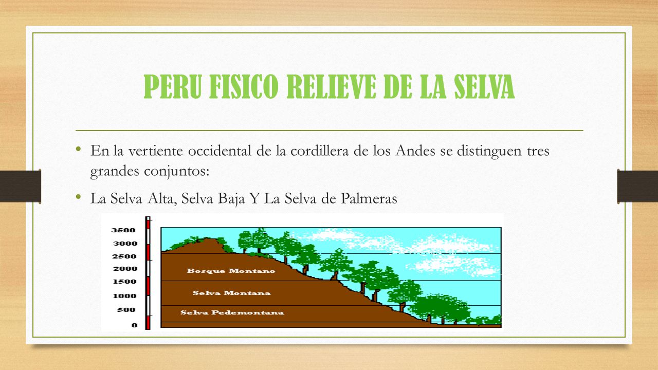 PERU FISICO RELIEVE DE LA SELVA