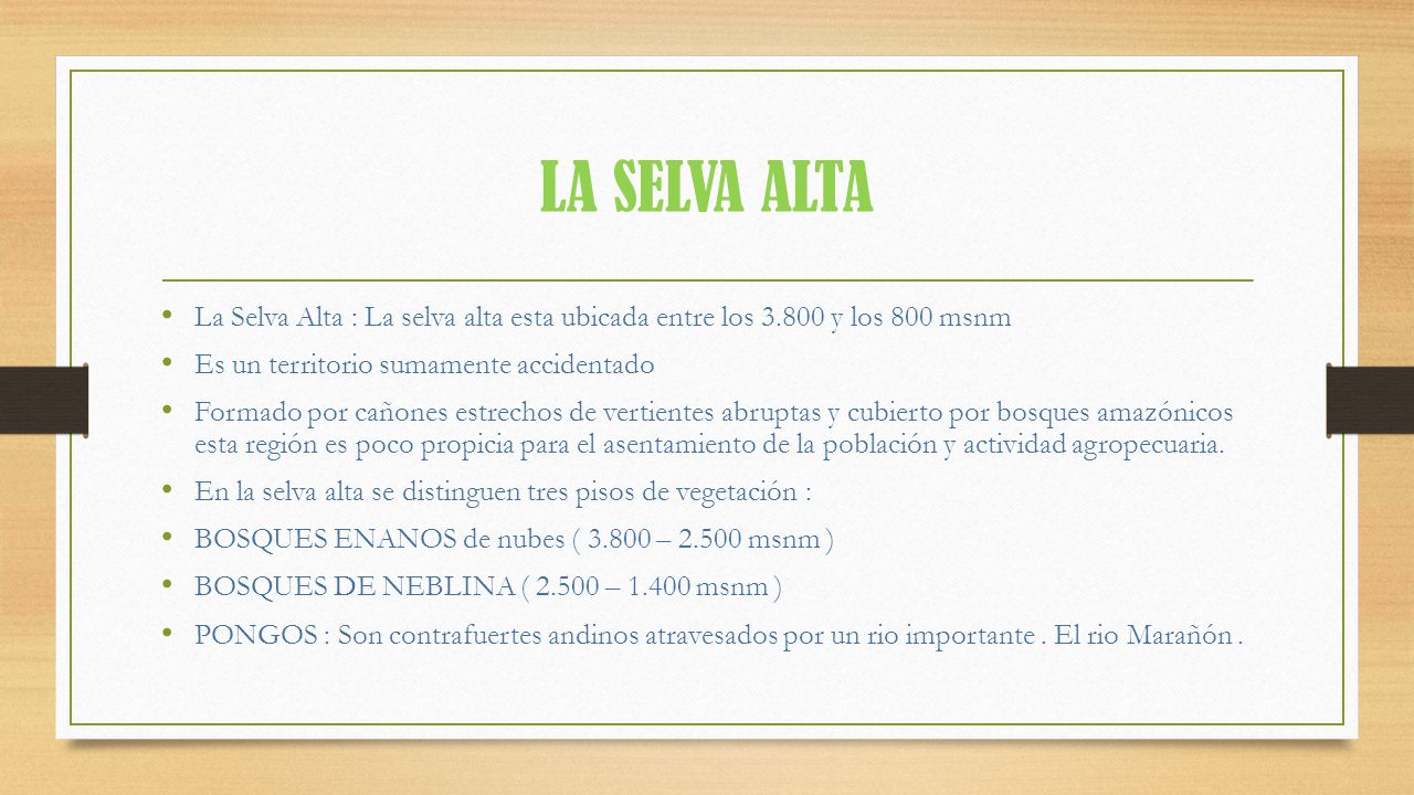 LA SELVA ALTA La Selva Alta : La selva alta esta ubicada entre los y los 800 msnm. Es un territorio sumamente accidentado.