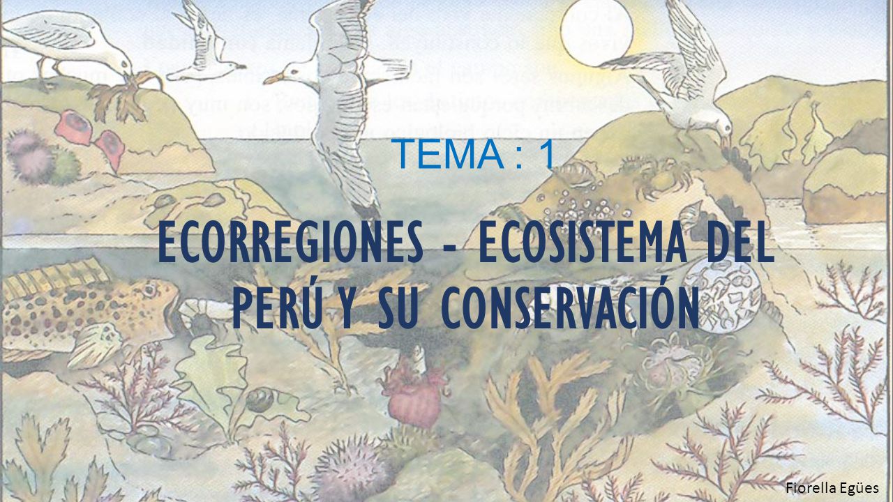 ECORREGIONES - ECOSISTEMA DEL PERÚ Y SU CONSERVACIÓN