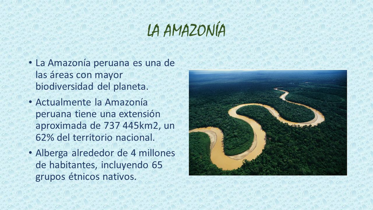 LA AMAZONÍA La Amazonía peruana es una de las áreas con mayor biodiversidad del planeta.