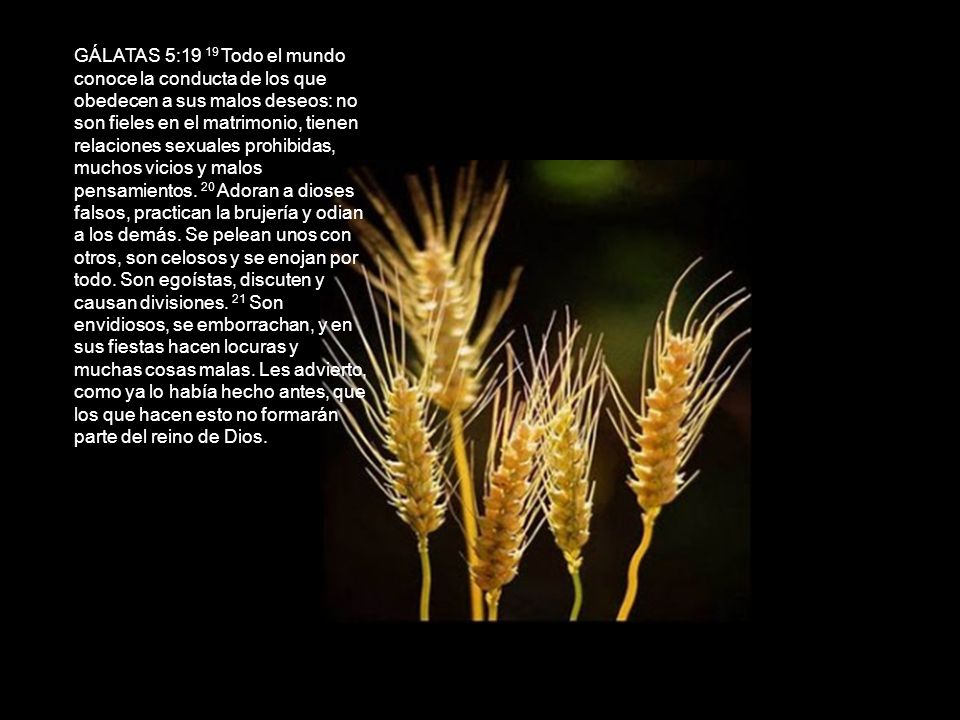 GÁLATAS 5:19 19 Todo el mundo conoce la conducta de los que obedecen a sus malos deseos: no son fieles en el matrimonio, tienen relaciones sexuales prohibidas, muchos vicios y malos pensamientos.