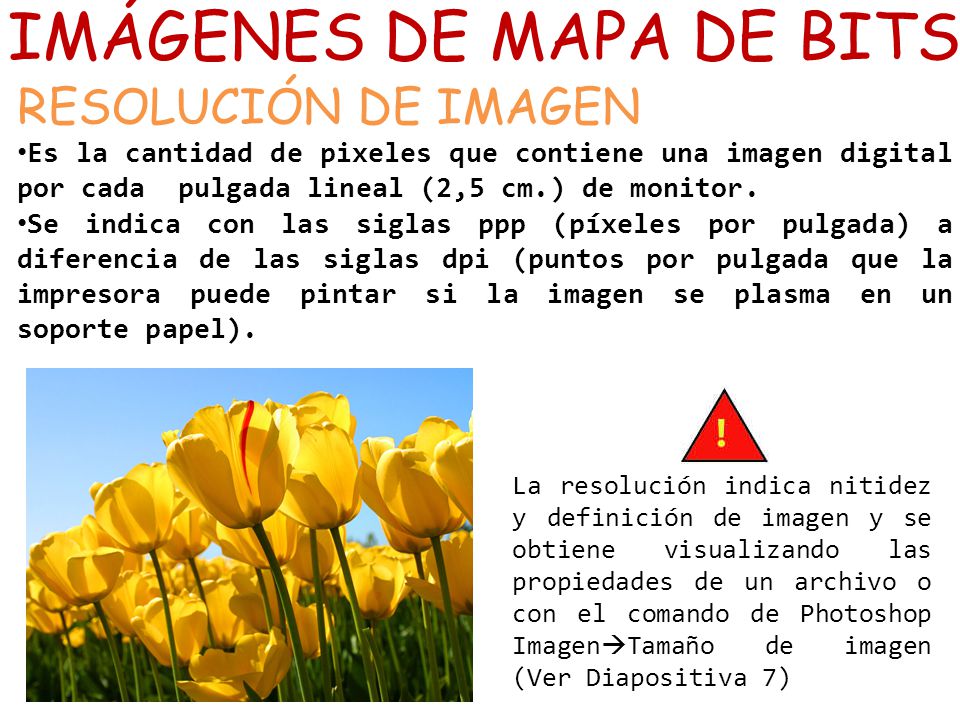 IMÁGENES DE MAPA DE BITS