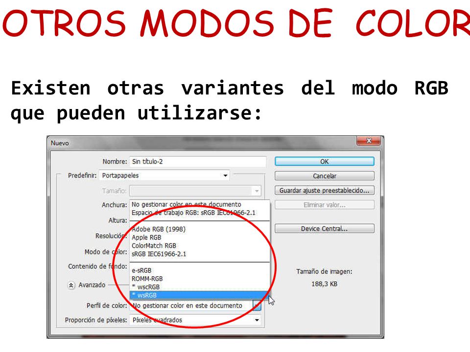 OTROS MODOS DE COLOR Existen otras variantes del modo RGB que pueden utilizarse: