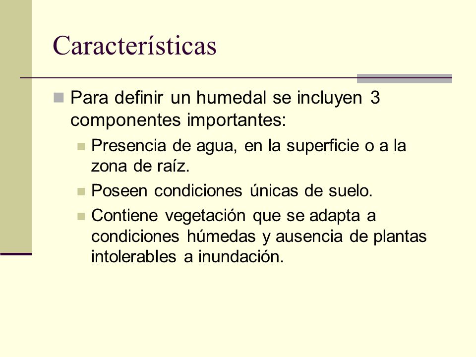 Características Para definir un humedal se incluyen 3 componentes importantes: Presencia de agua, en la superficie o a la zona de raíz.