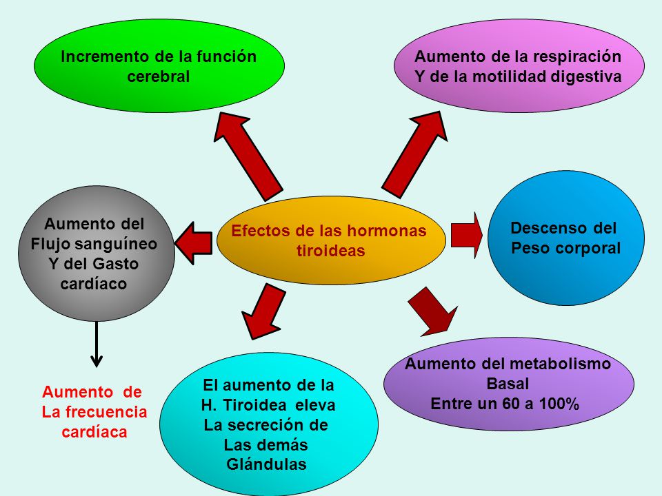 Incremento de la función cerebral Aumento de la respiración